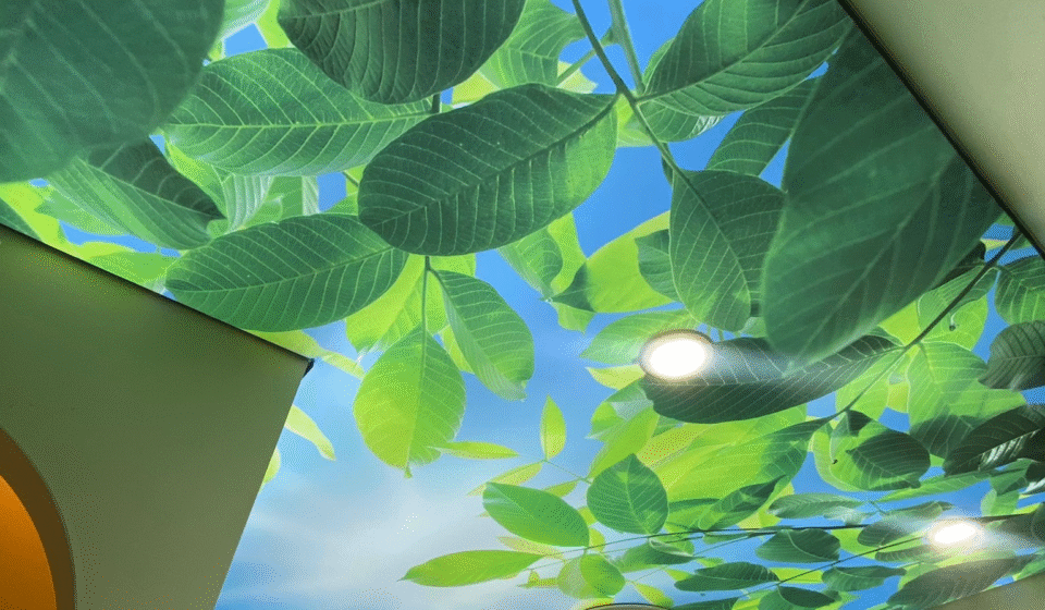 Fabric Stretch Ceilings